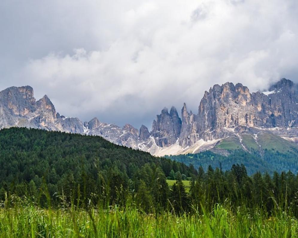 Kúpa alebo predaj pozemku? Čo všetko zohľadniť pri kúpe pozemku