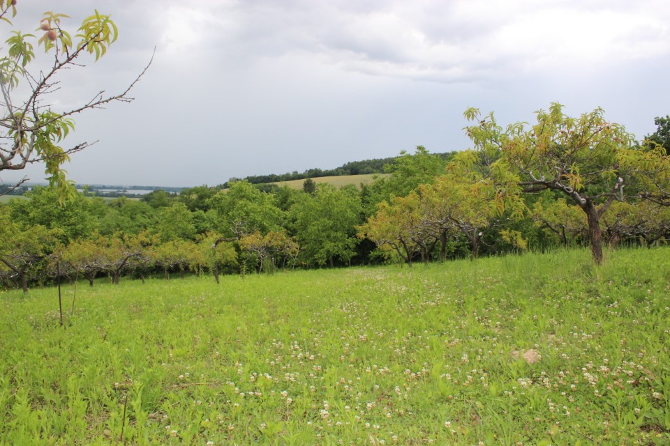 PREDANÉ! Predaj pozemku na výstavbu rekreačnej chaty, 1570 m2, Sokolovce