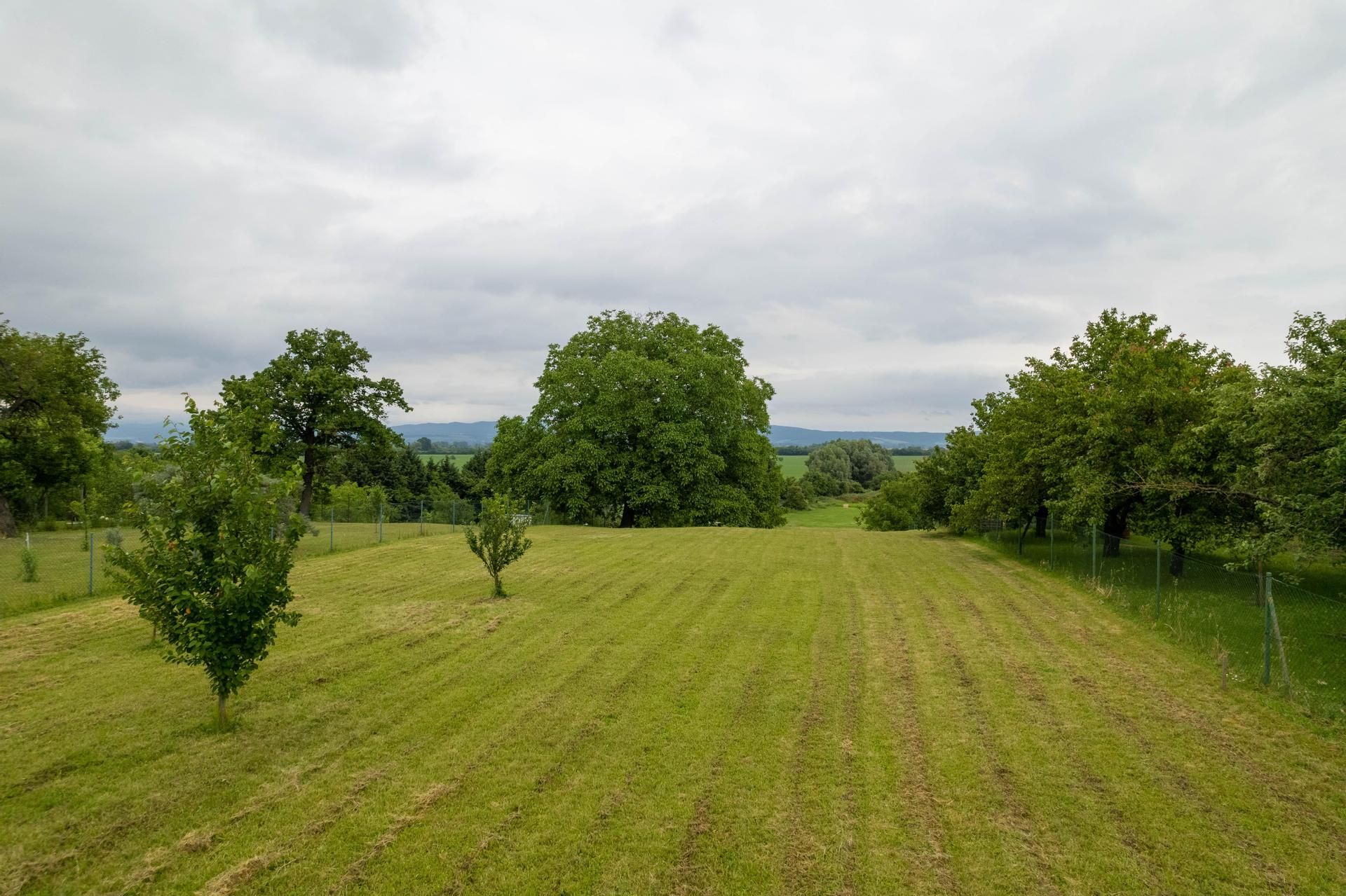 Predaj pozemok v obci Veselé, 1743 m2, Piešťany
