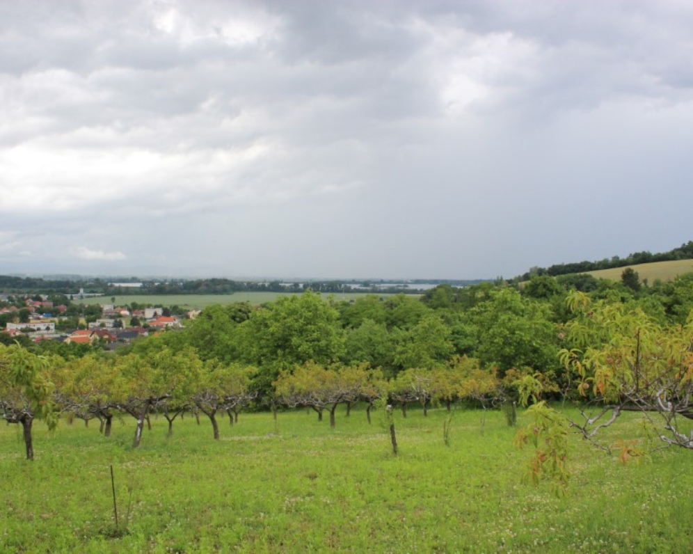 Pozemok v Sokolovciach, 1570 m2