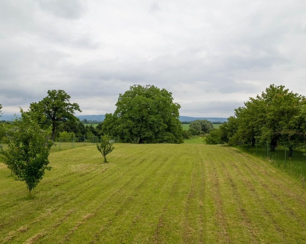 Predaj pozemku v obci Veselé o výmere 1743 m2 ,Piešťany